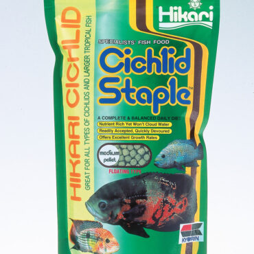 Hikari Cichlid Staple Medium Pellets 8.8oz