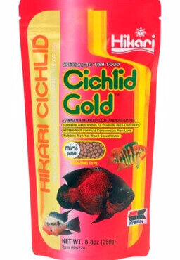 Hikari Cichlid Gold Mini Pellets 8.8oz