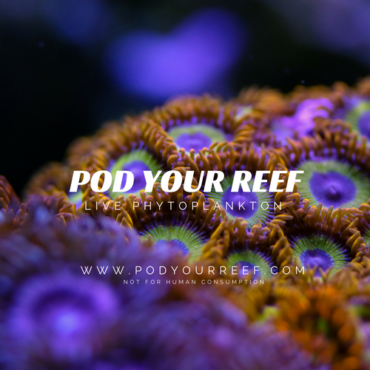 Pod Your Reef Live Phytoplankton