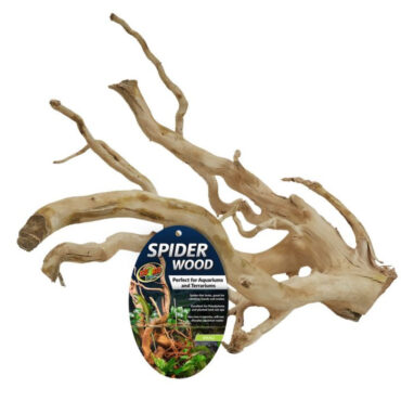 Zoomed Spider Wood