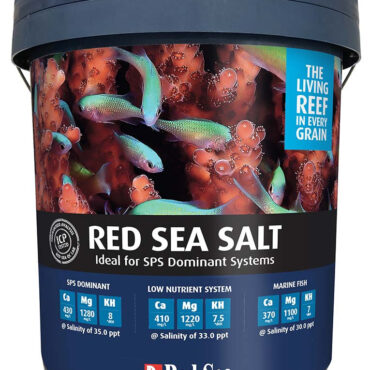 Red Sea Salt 175G Bucket