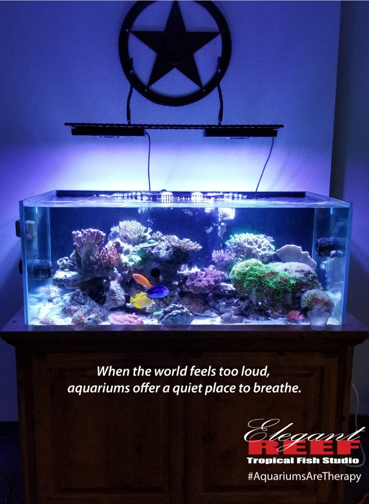 #AquariumsAreTherapy